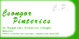 csongor pinterics business card